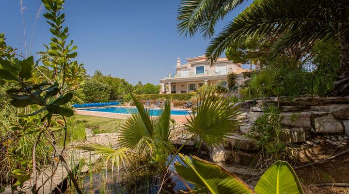 Wonderful outlook Thumbnail